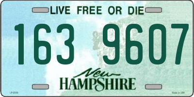 NH license plate 1639607
