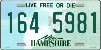 NH license plate 1645981