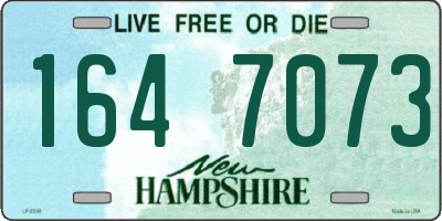 NH license plate 1647073