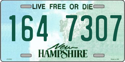 NH license plate 1647307