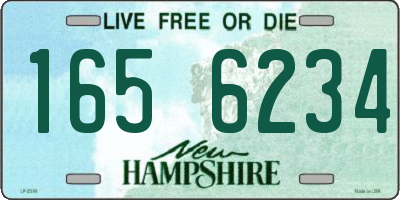 NH license plate 1656234