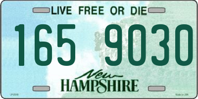 NH license plate 1659030