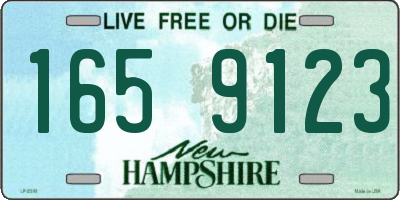 NH license plate 1659123