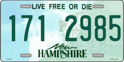 NH license plate 1712985
