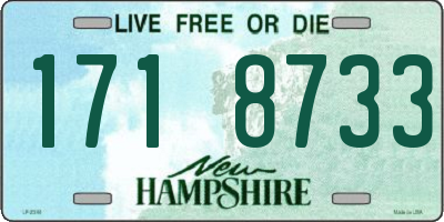 NH license plate 1718733