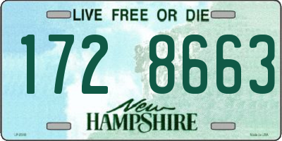 NH license plate 1728663