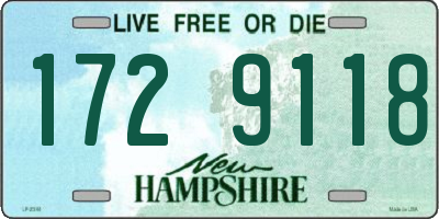 NH license plate 1729118
