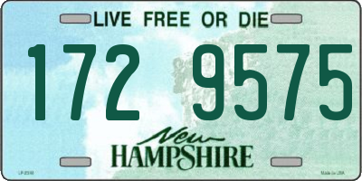 NH license plate 1729575