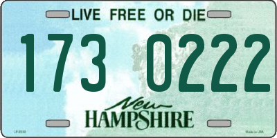 NH license plate 1730222
