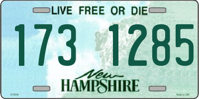 NH license plate 1731285