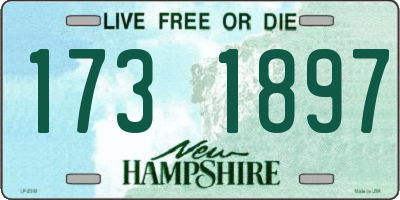 NH license plate 1731897