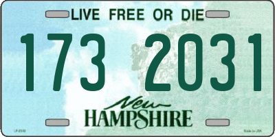 NH license plate 1732031