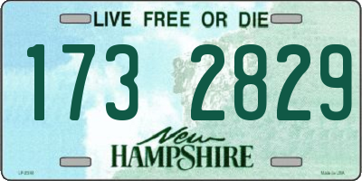 NH license plate 1732829