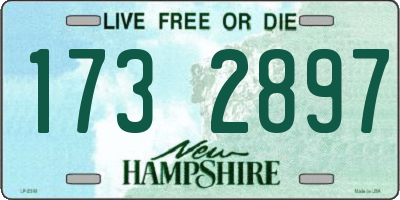 NH license plate 1732897