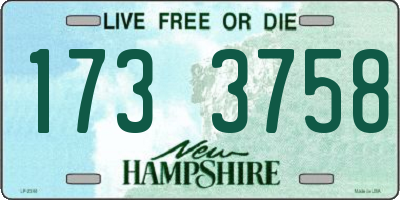 NH license plate 1733758