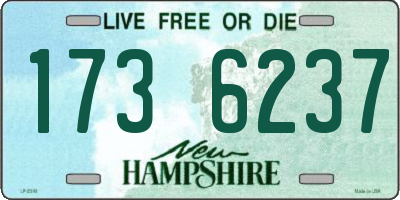NH license plate 1736237