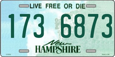 NH license plate 1736873