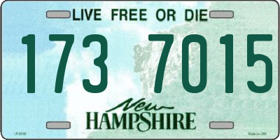 NH license plate 1737015