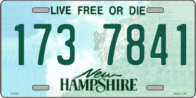 NH license plate 1737841