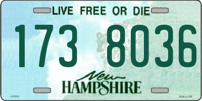 NH license plate 1738036