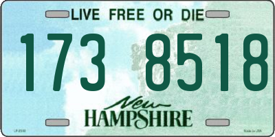 NH license plate 1738518
