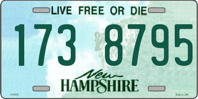 NH license plate 1738795
