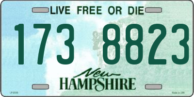 NH license plate 1738823