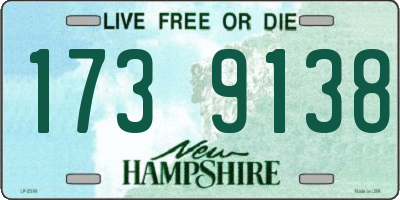 NH license plate 1739138