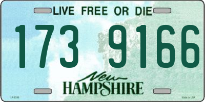 NH license plate 1739166