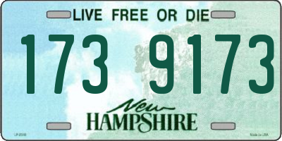NH license plate 1739173