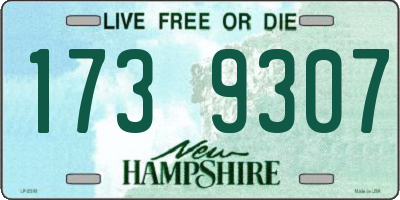 NH license plate 1739307