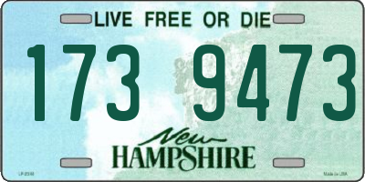 NH license plate 1739473
