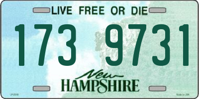 NH license plate 1739731