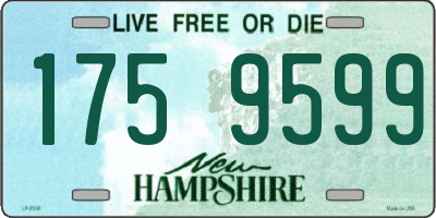 NH license plate 1759599