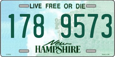 NH license plate 1789573