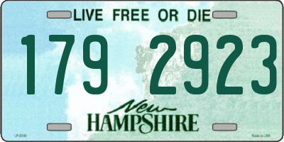 NH license plate 1792923