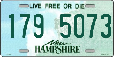 NH license plate 1795073
