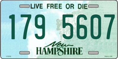 NH license plate 1795607