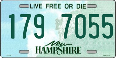 NH license plate 1797055