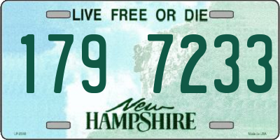 NH license plate 1797233