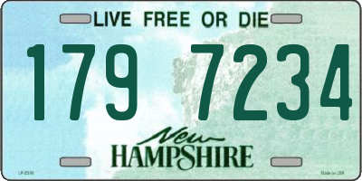 NH license plate 1797234