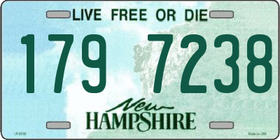 NH license plate 1797238