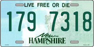 NH license plate 1797318