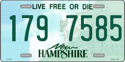 NH license plate 1797585