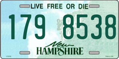 NH license plate 1798538