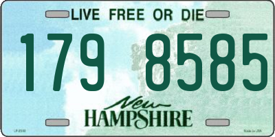 NH license plate 1798585