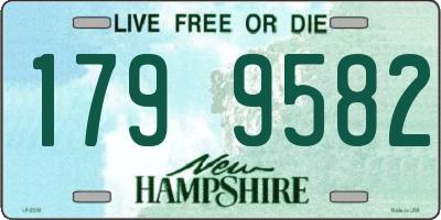 NH license plate 1799582