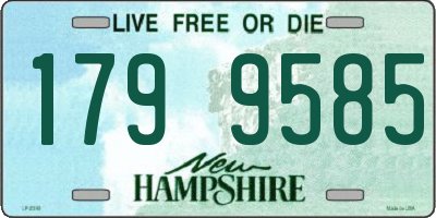 NH license plate 1799585