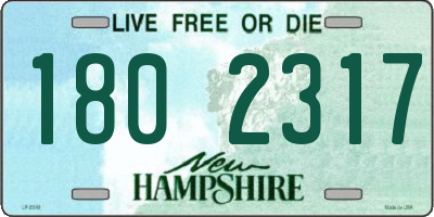 NH license plate 1802317