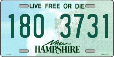 NH license plate 1803731